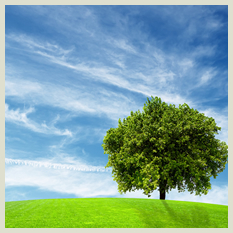 �G�R����